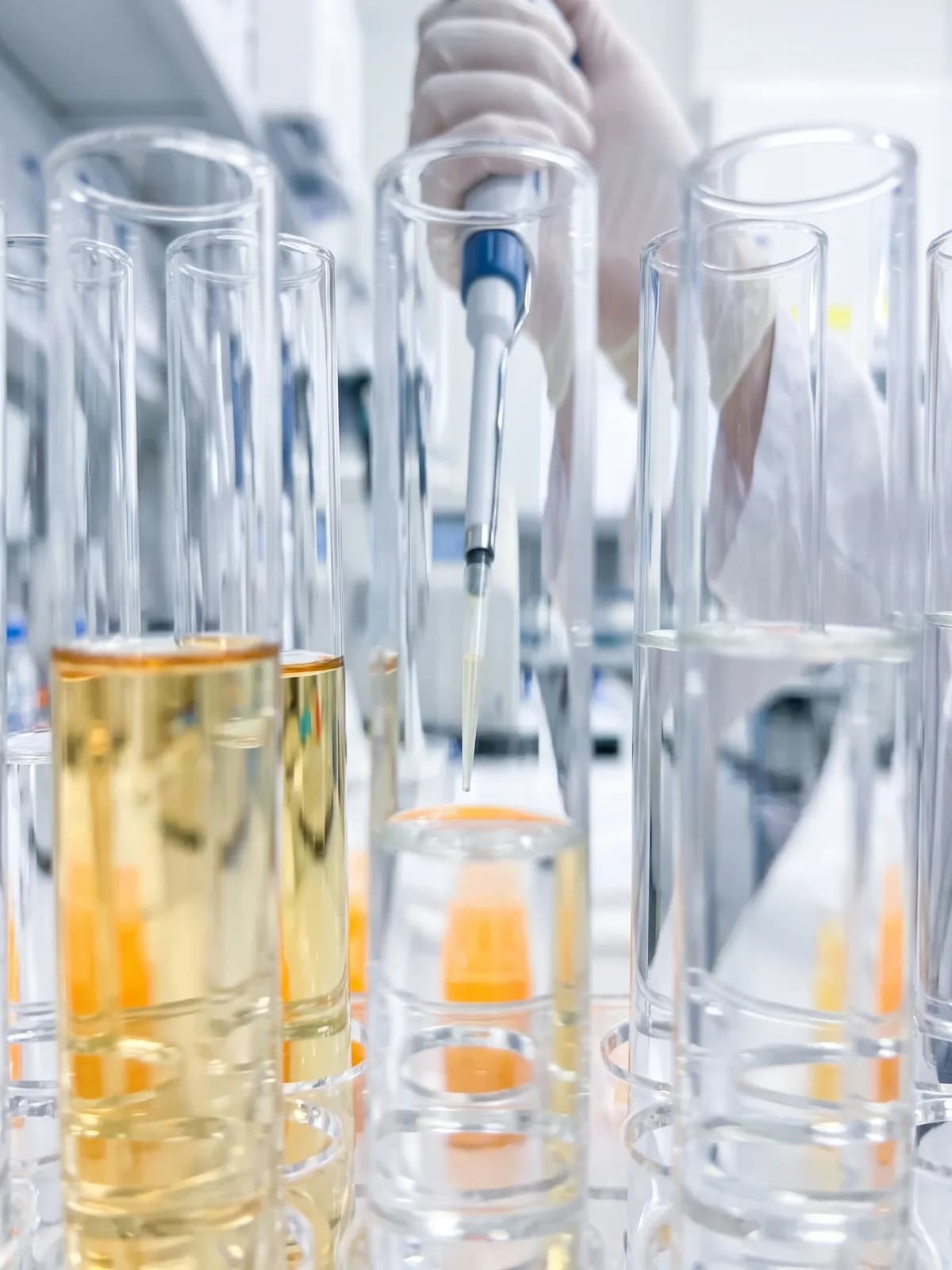 Biología Ambiental — La vida bajo el microscopio